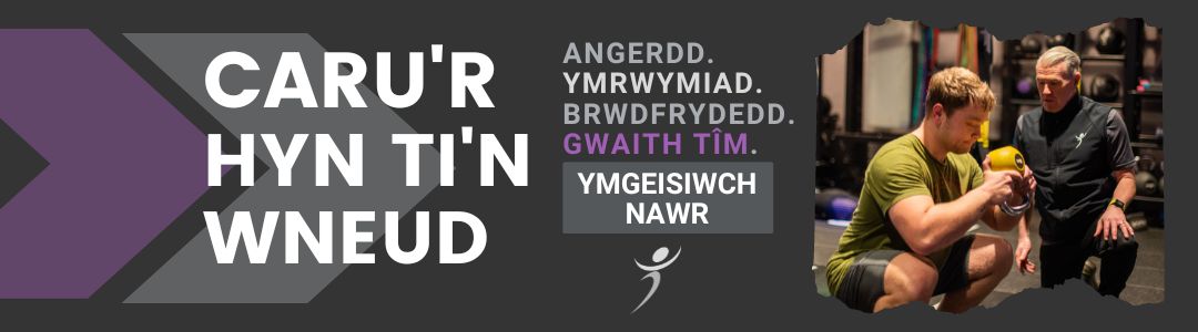 END – DLL BANNER (1)